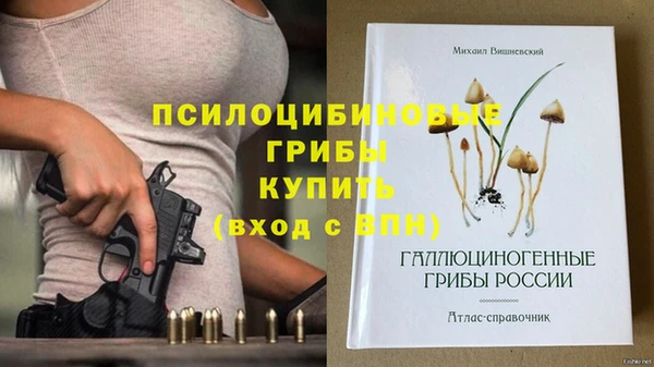 apvp Михайлов