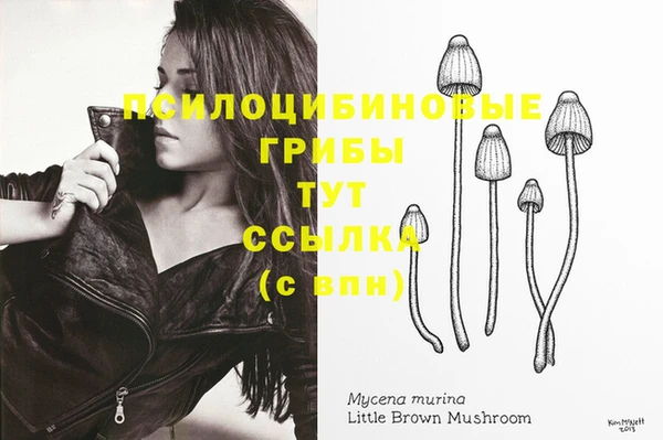 винт Михайловск