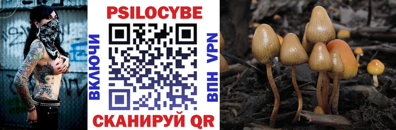 дарнет шоп Урай Галлюциногенные грибы Magic Shrooms
